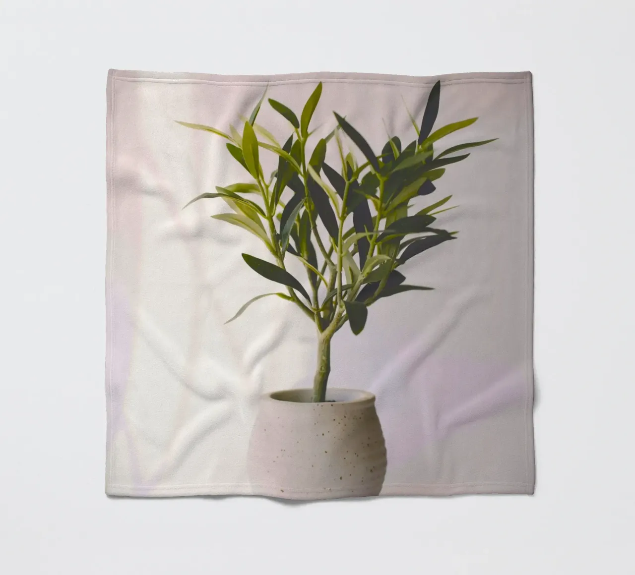 Vaso di ulivo - simbolo di pace e prosperità coperta in pile da Nature's Palette