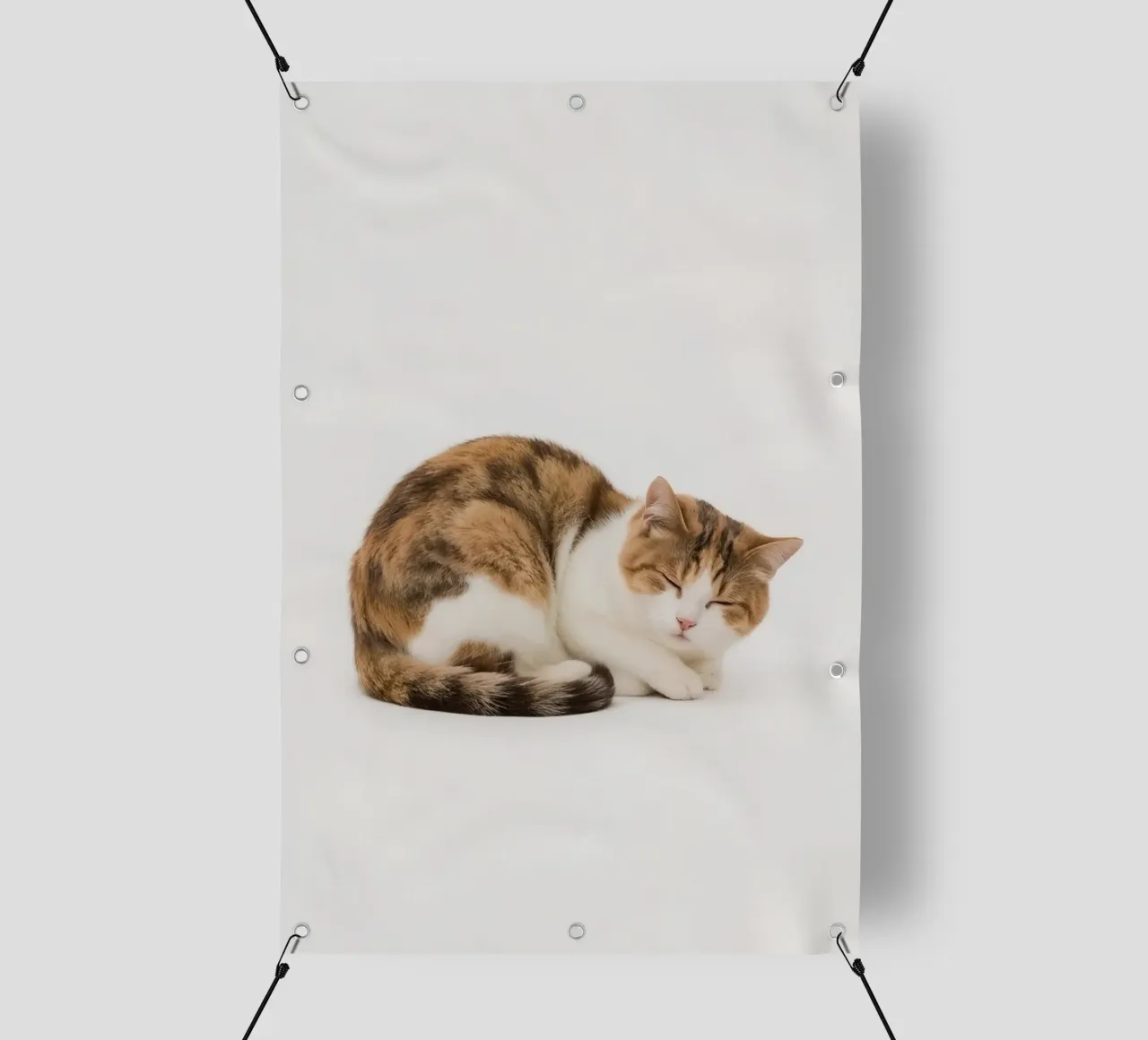 Gatto calico che dorme su sfondo bianco telo in pvc da DesignDoodle