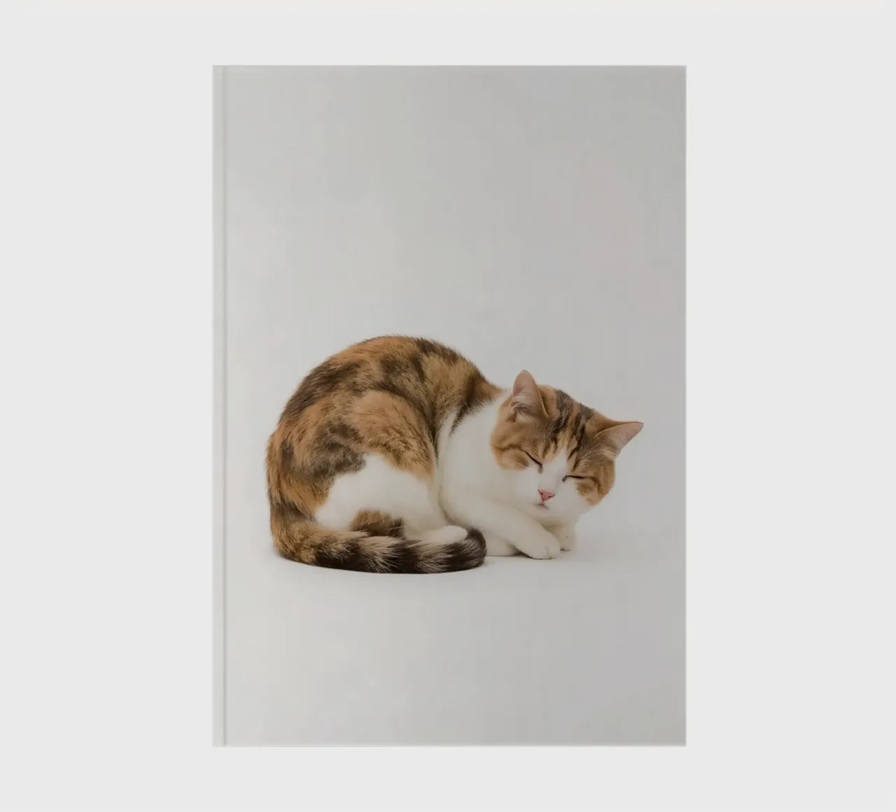 Calico cat sleeping on white background notebook by DesignDoodle
