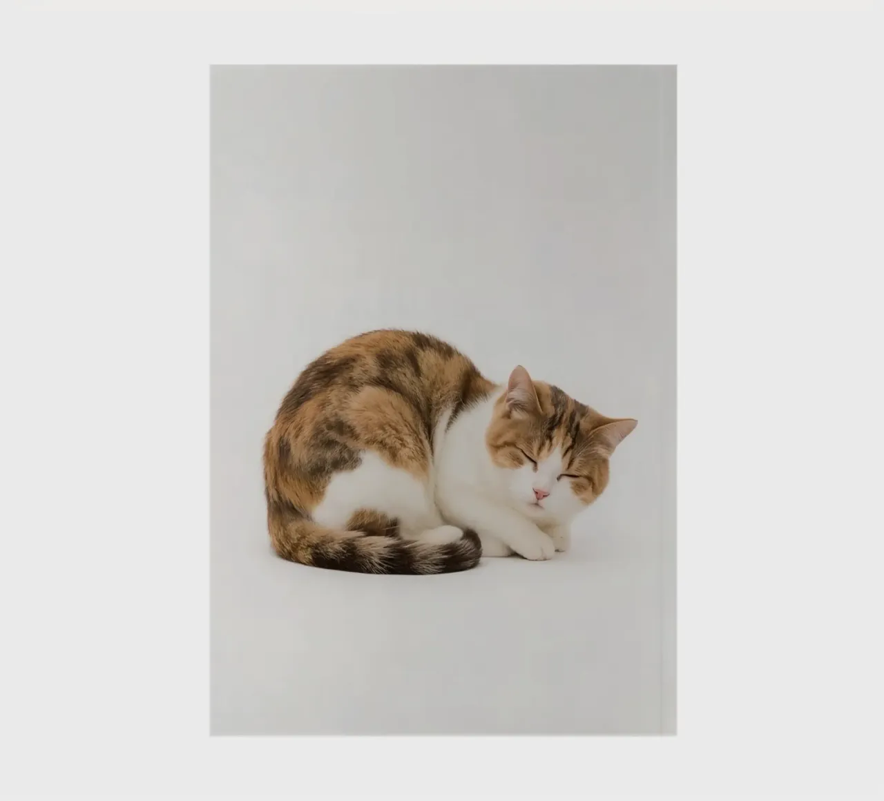 Calico cat sleeping on white background notebook by DesignDoodle