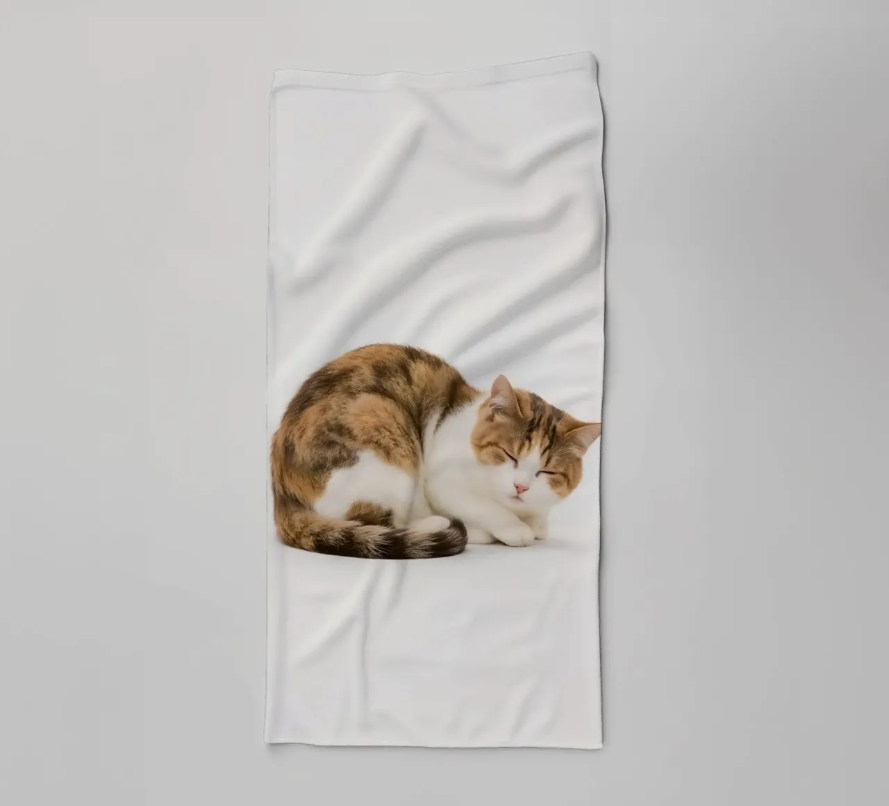 Calico cat sleeping on white background towel by DesignDoodle