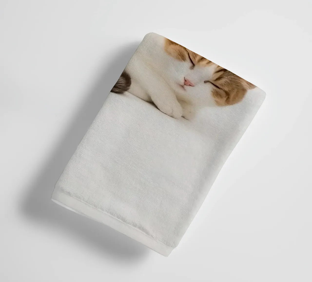 Calico cat sleeping on white background towel by DesignDoodle