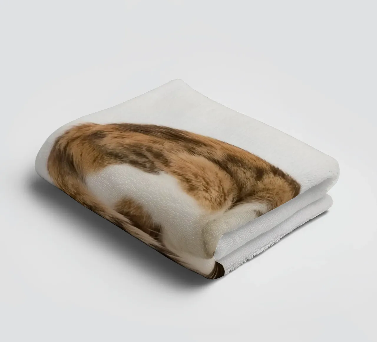Calico cat sleeping on white background towel by DesignDoodle