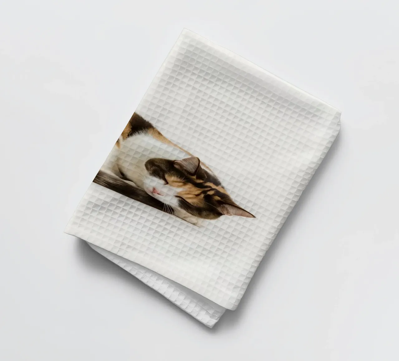 Gatto calico che dorme canovaccio da cucina da DesignDoodle