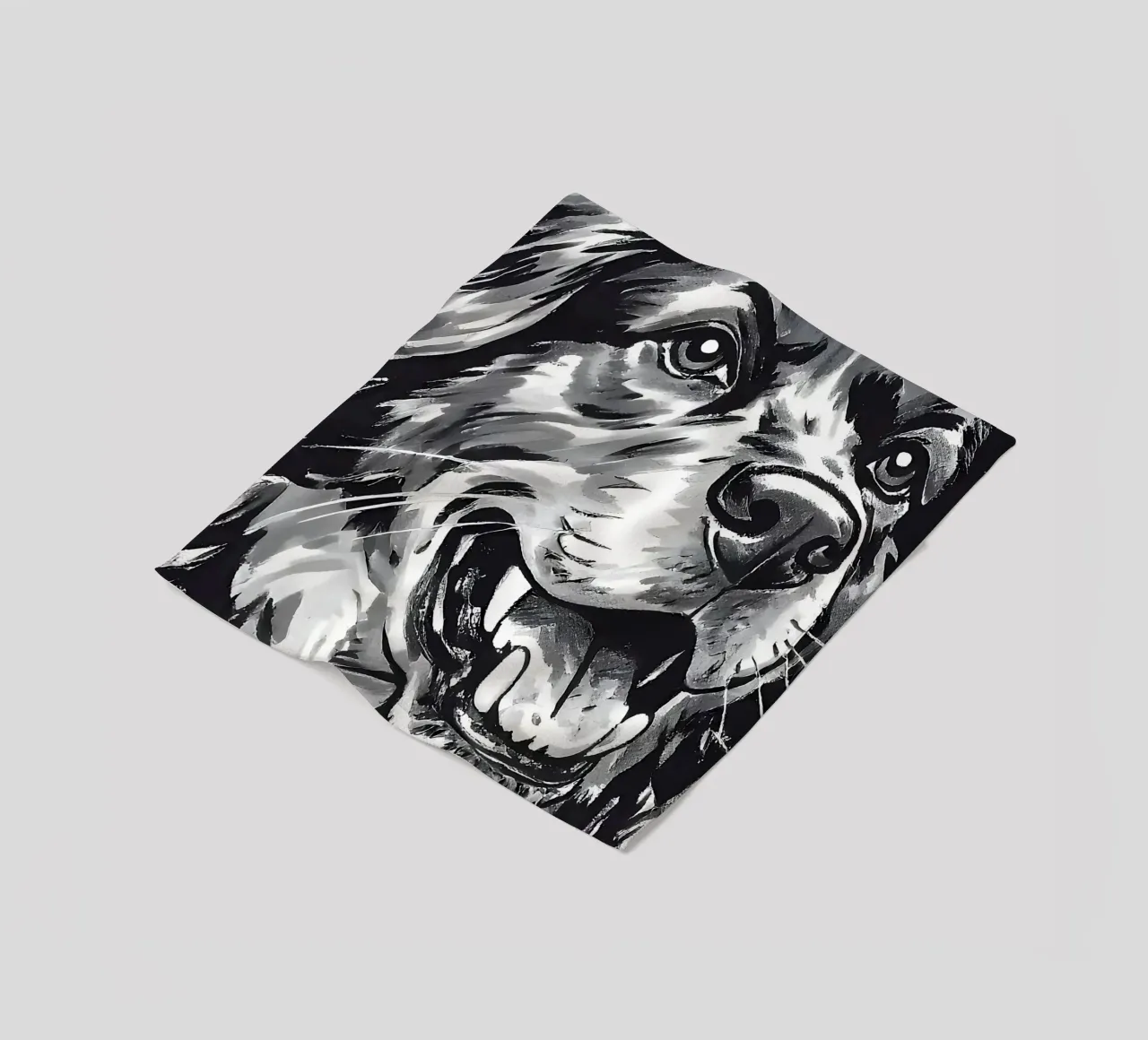 Ritratto di cane in bianco e nero coperta in pile da Damion Francis