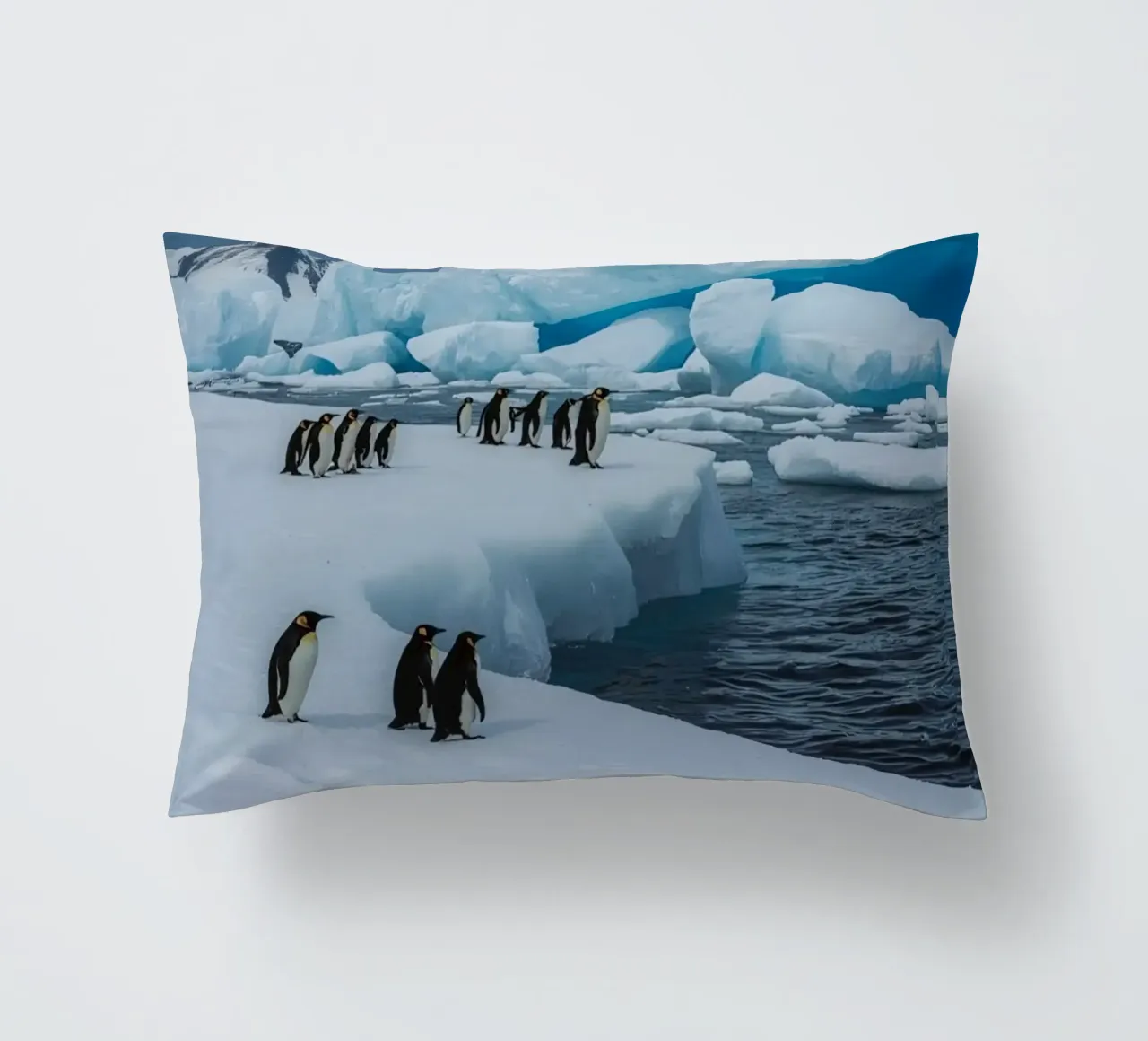 Pinguini imperatore su una distesa di ghiaccio con iceberg e montagne cuscino da DesignDoodle
