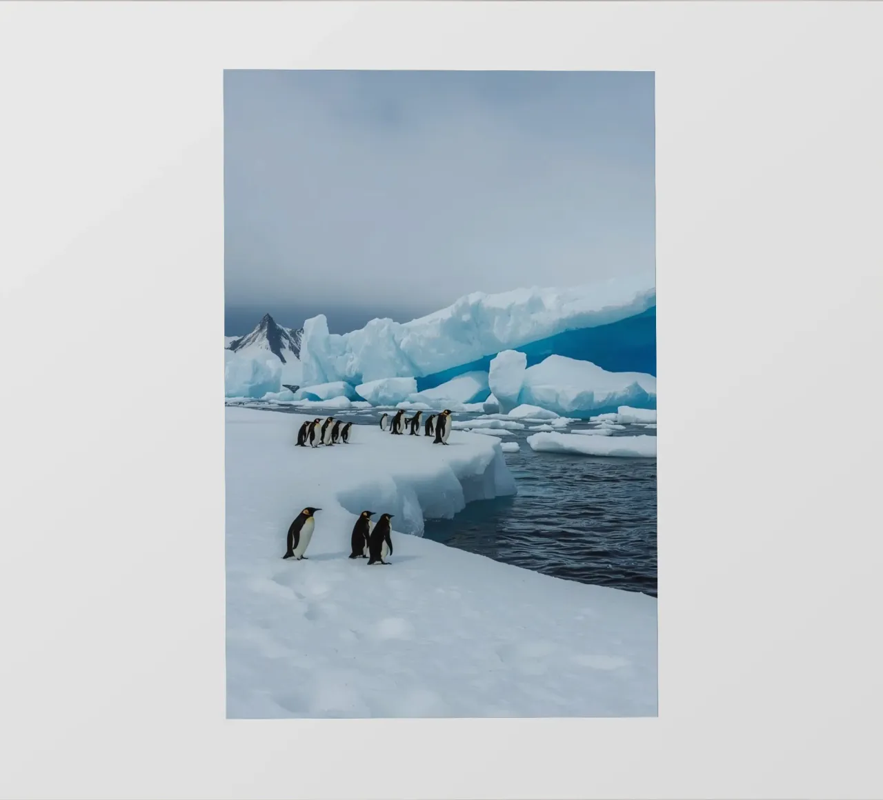 Pinguini imperatore su una distesa di ghiaccio con iceberg e montagne pellicola backlit da DesignDoodle