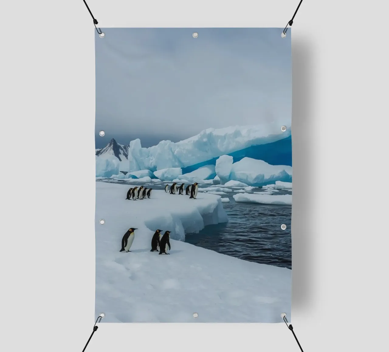 Pinguini imperatore su una distesa di ghiaccio con iceberg e montagne telo in pvc da DesignDoodle