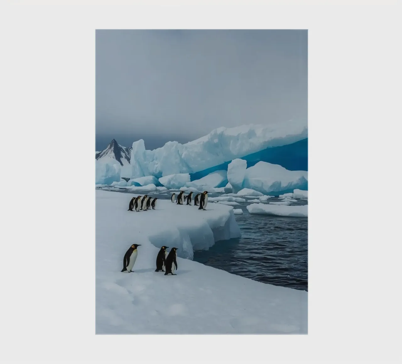 Emperor Penguins on Ice Floe with Icebergs and Mountains notebook by DesignDoodle