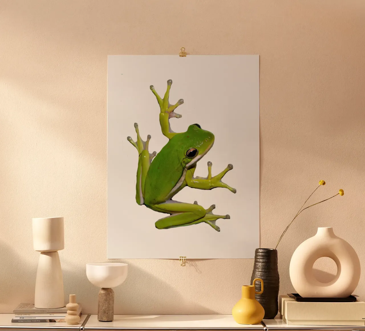 Frog poster by Brook Soul King
