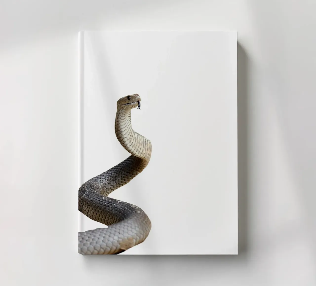 Cobra Snake diario da Brook Soul King