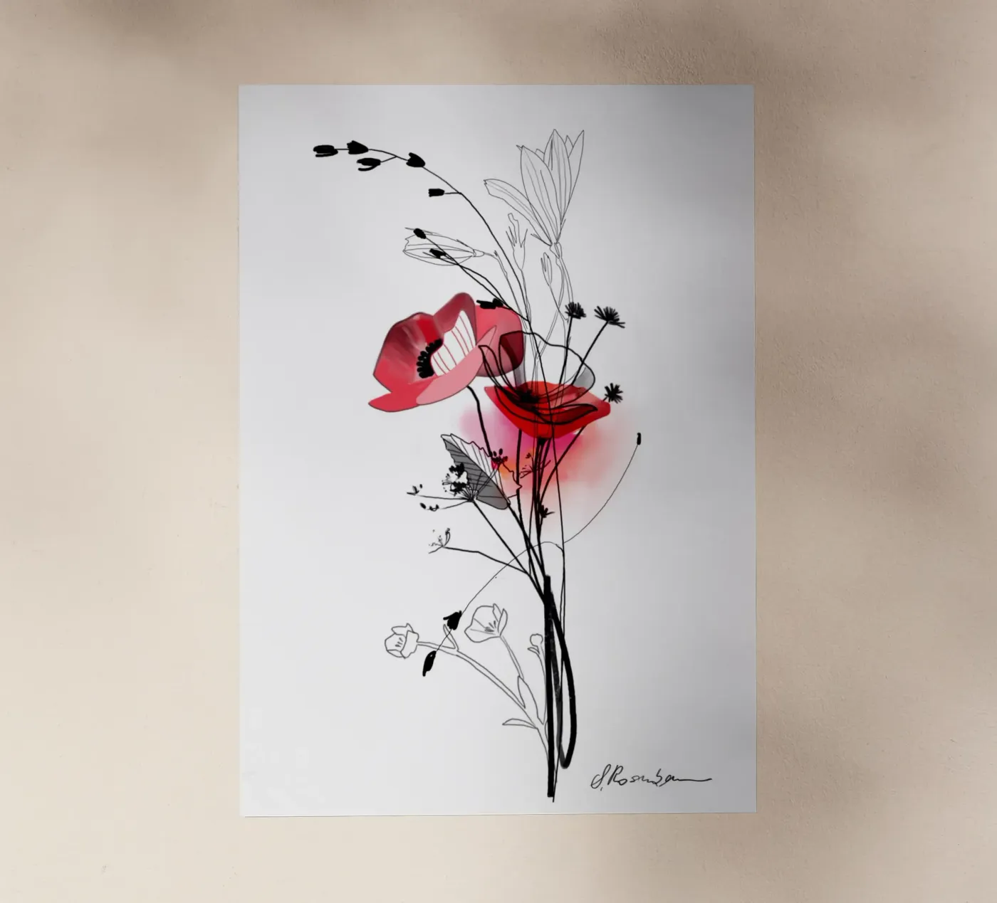 Mohn backlit folie van SaraRosenbaum