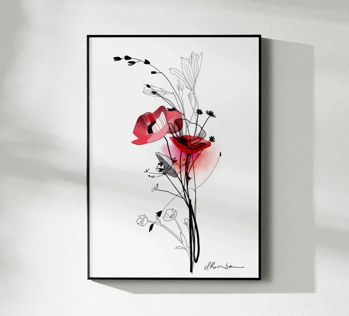 Mohn plexiglas de SaraRosenbaum