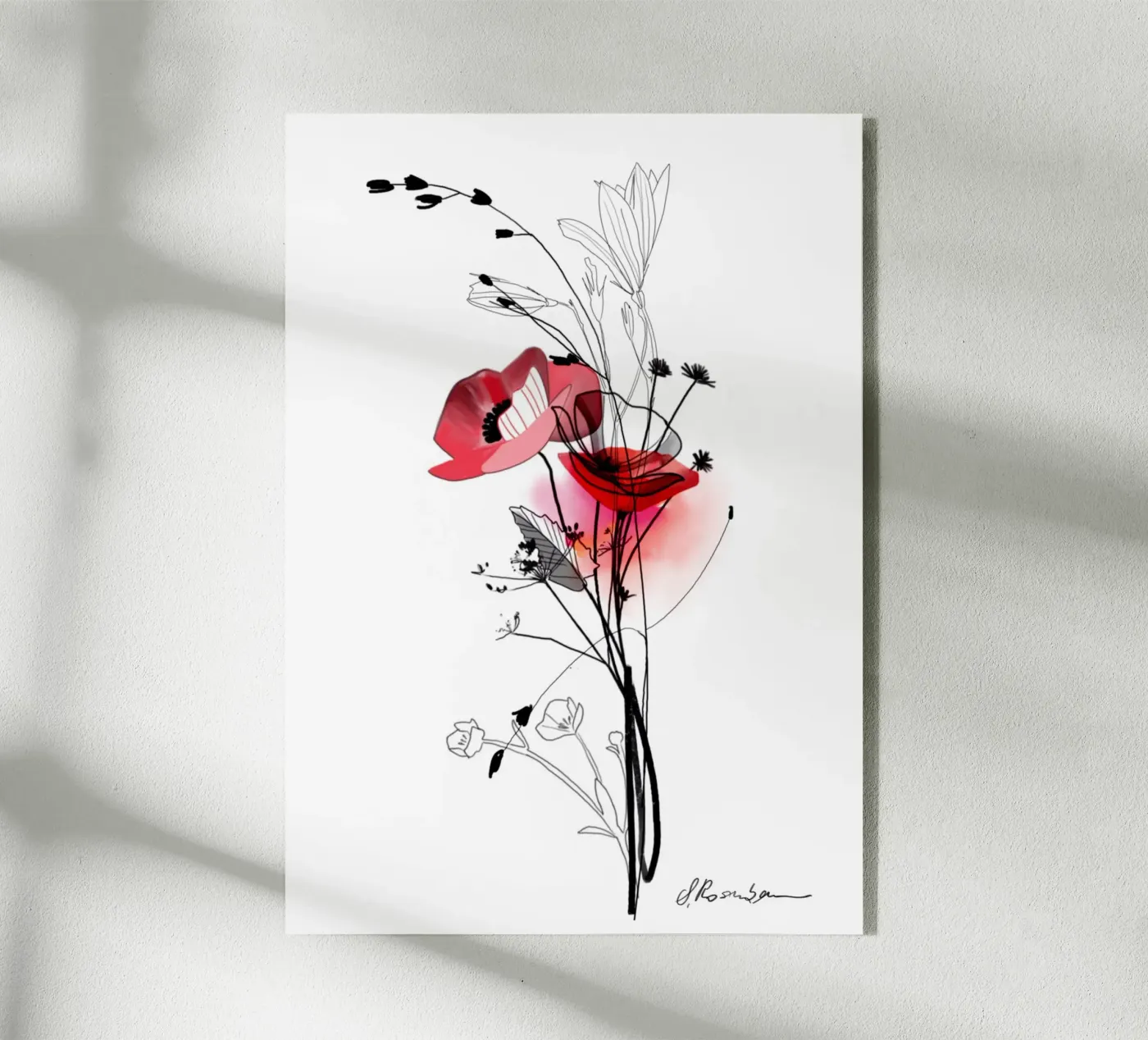 Mohn plexiglas de SaraRosenbaum