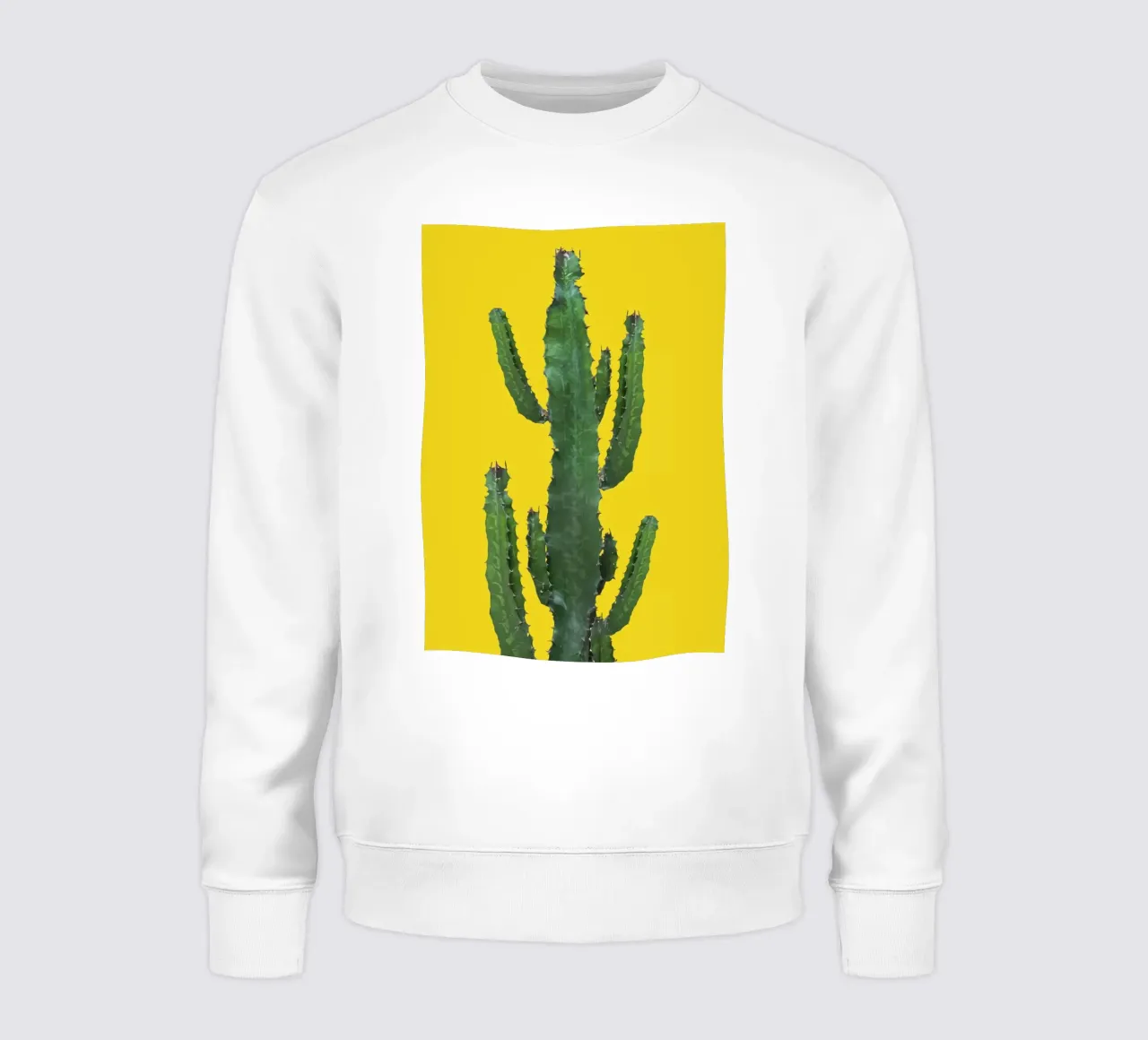 cactus per l'arredamento della casa felpa da ORION