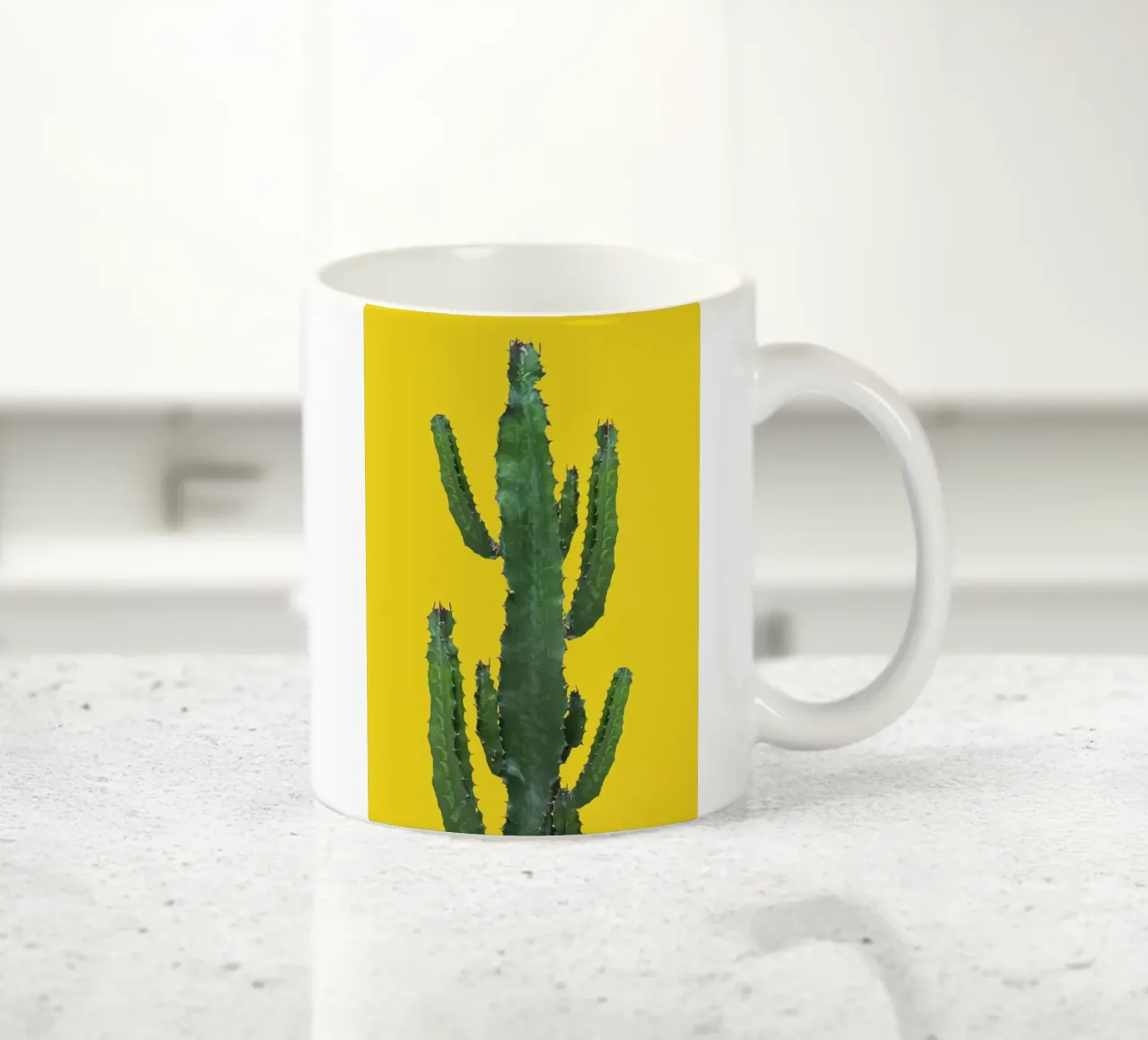cactus per l'arredamento della casa tazza in ceramica da ORION
