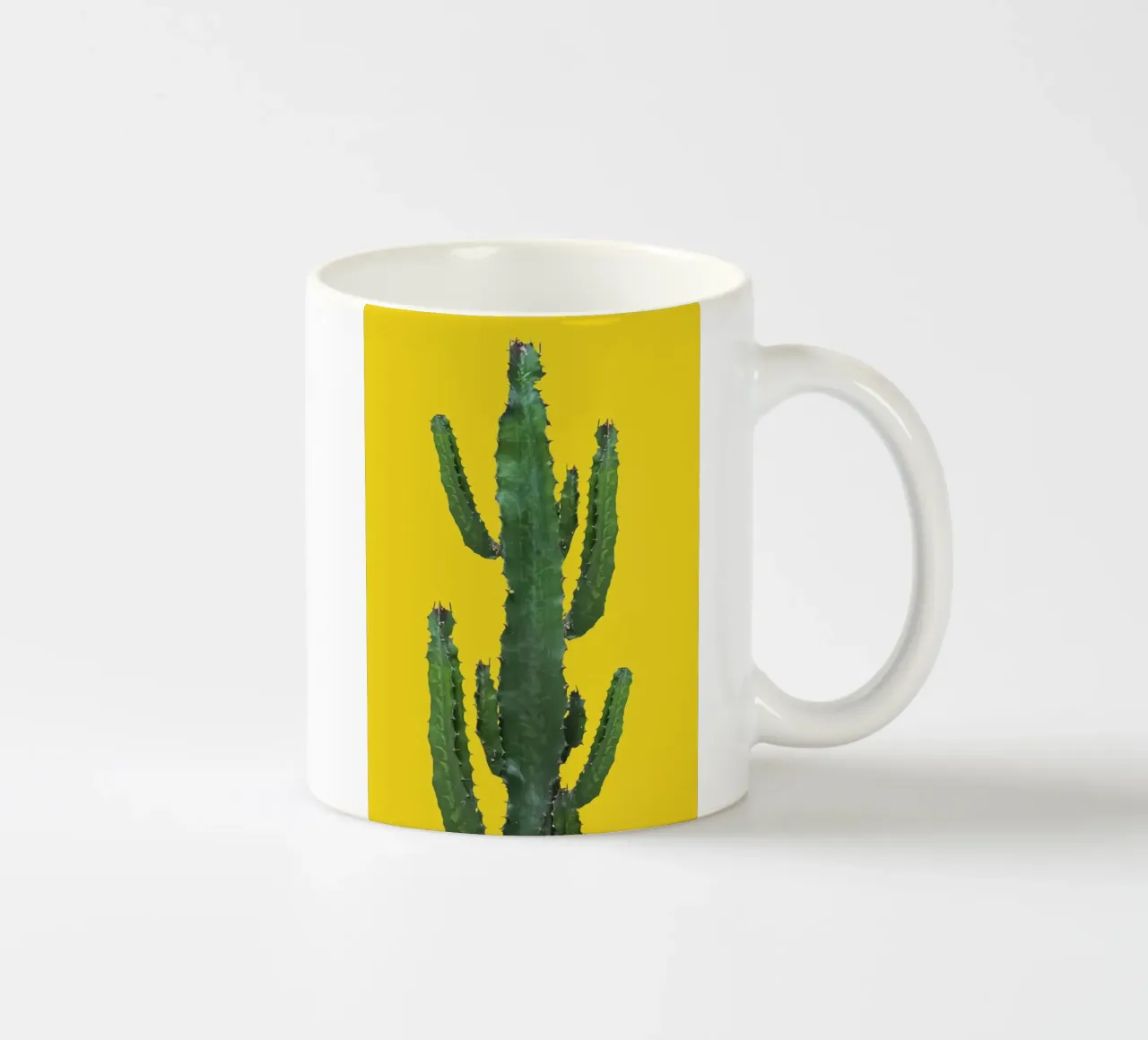 cactus per l'arredamento della casa tazza in ceramica da ORION