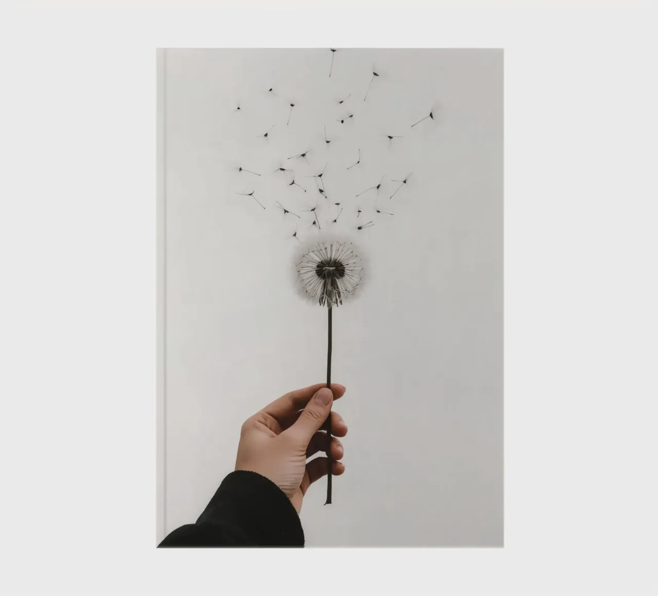 Hand holding dandelion with flying seeds notebook by DesignDoodle