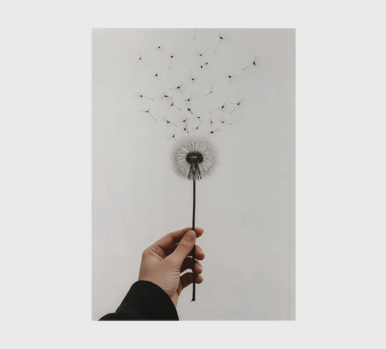 Hand holding dandelion with flying seeds notebook by DesignDoodle