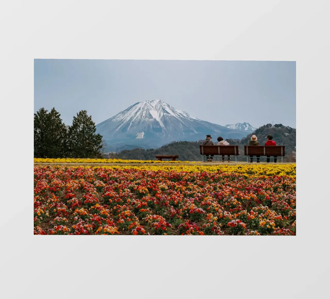 Monte Daisen con campi di fiori, Giappone pellicola backlit da Marcel Bisig