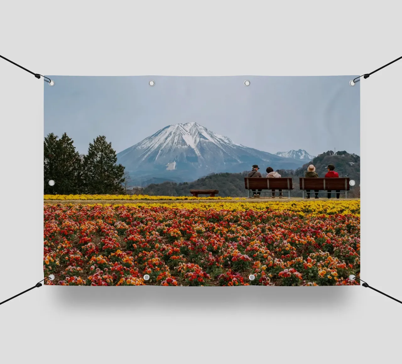 Monte Daisen con campi di fiori, Giappone telo in pvc da Marcel Bisig