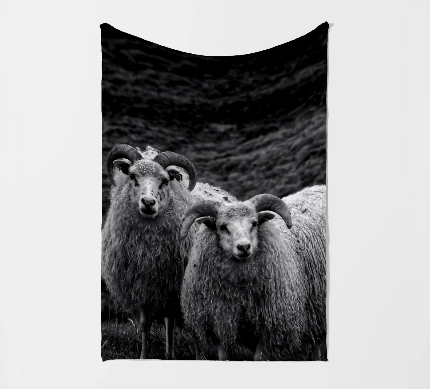 Two sheep fleece blanket by Fjöllart