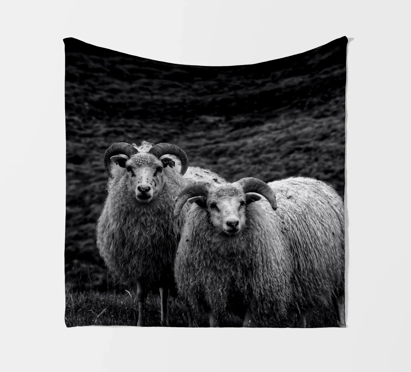 Two sheep fleece blanket by Fjöllart