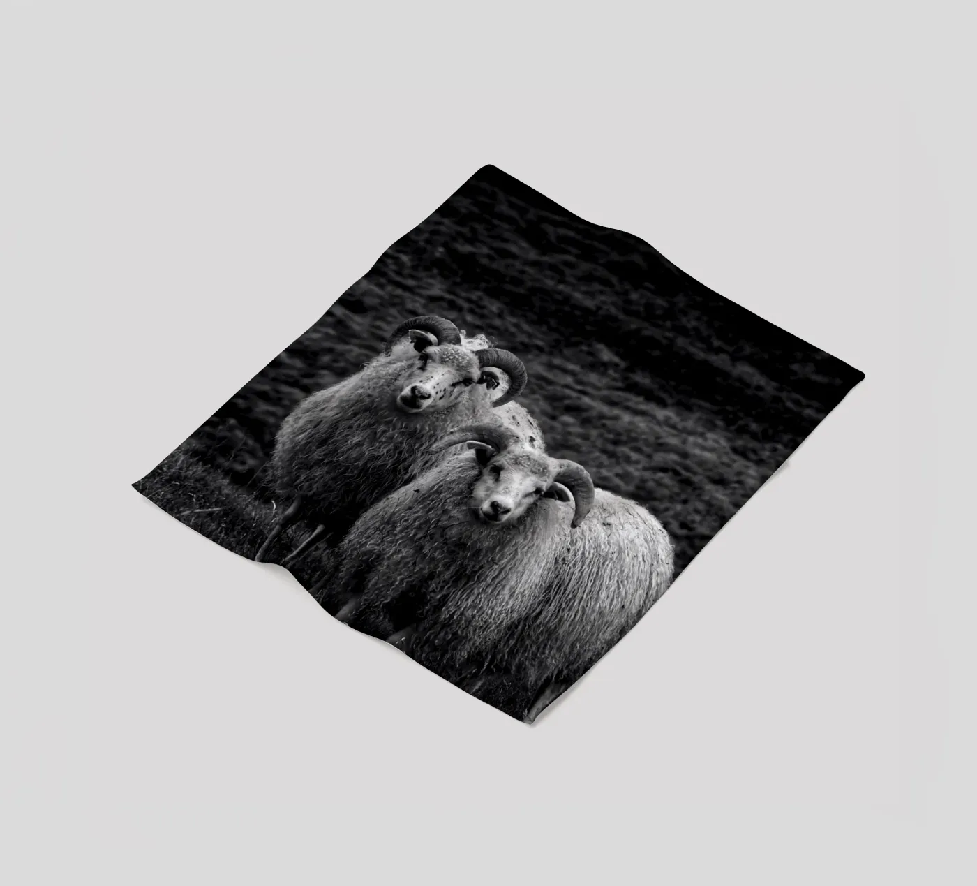 Two sheep fleece blanket by Fjöllart