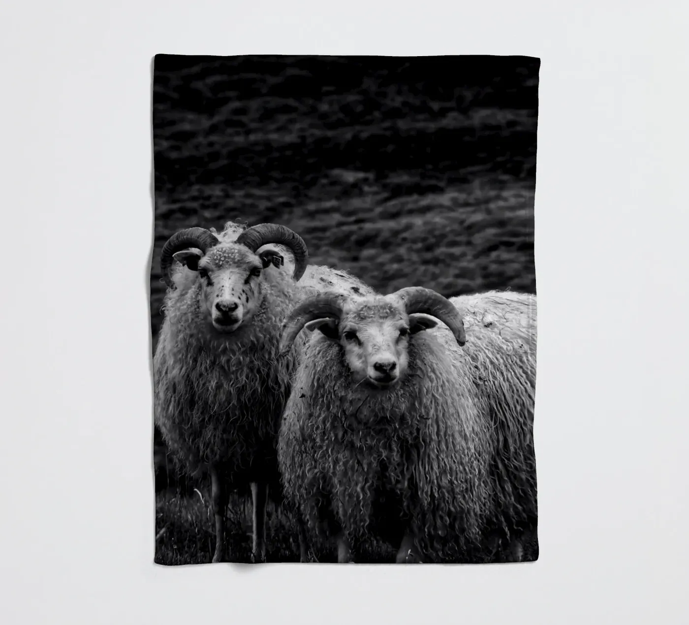 Two sheep fleece blanket by Fjöllart