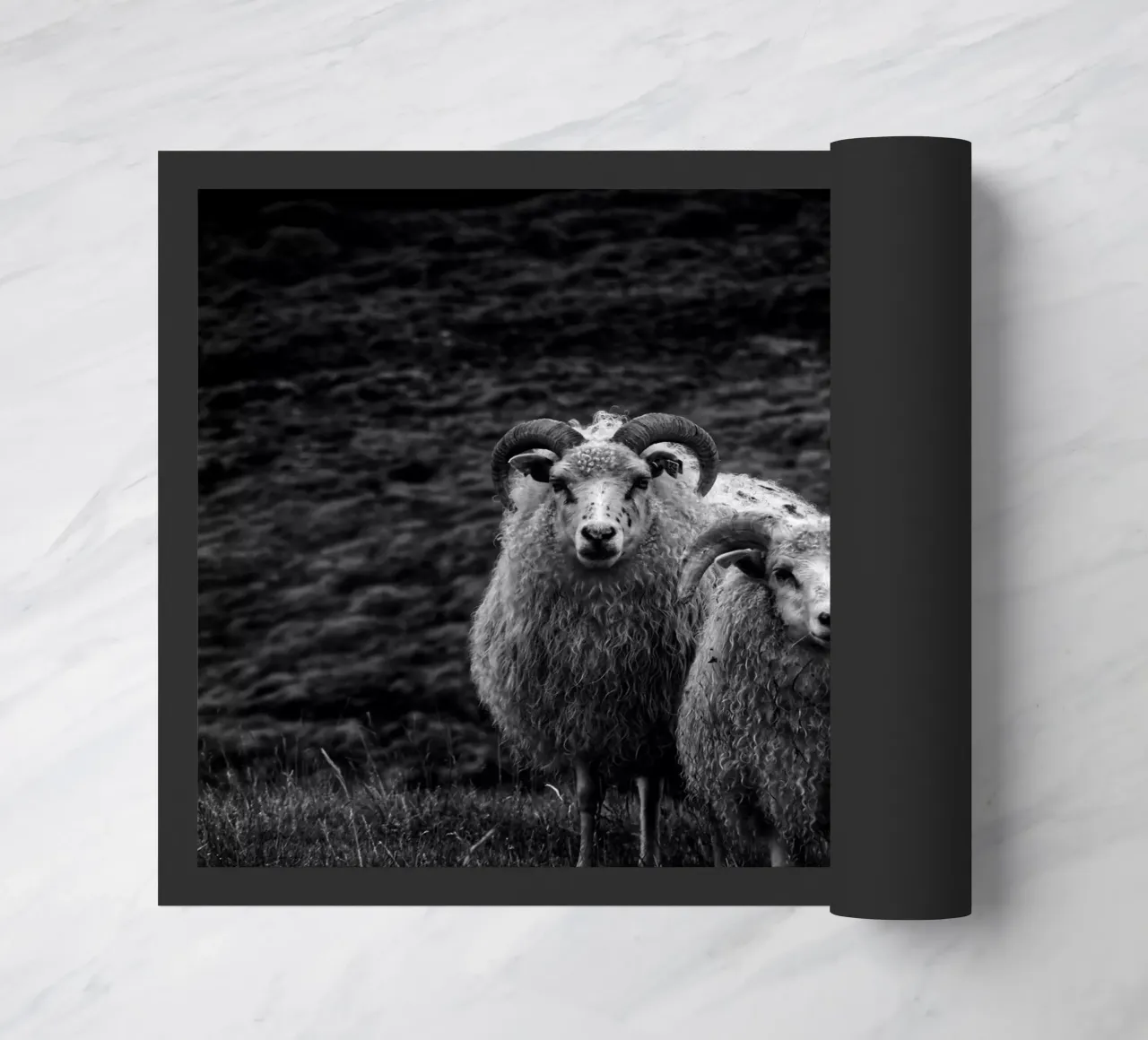Two sheep doormat by Fjöllart