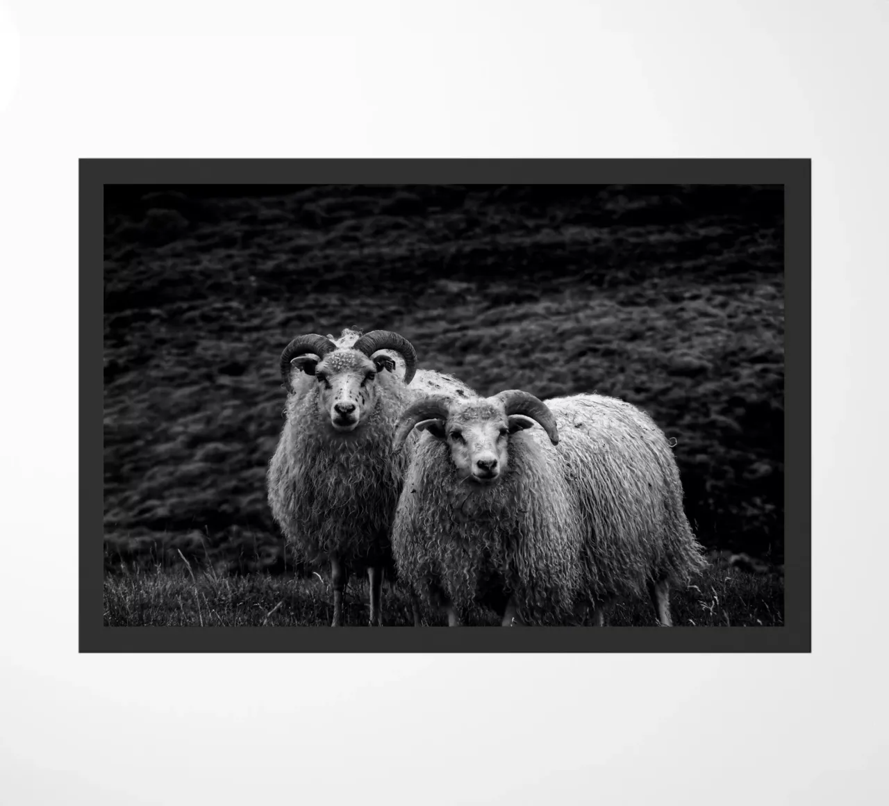Two sheep doormat by Fjöllart