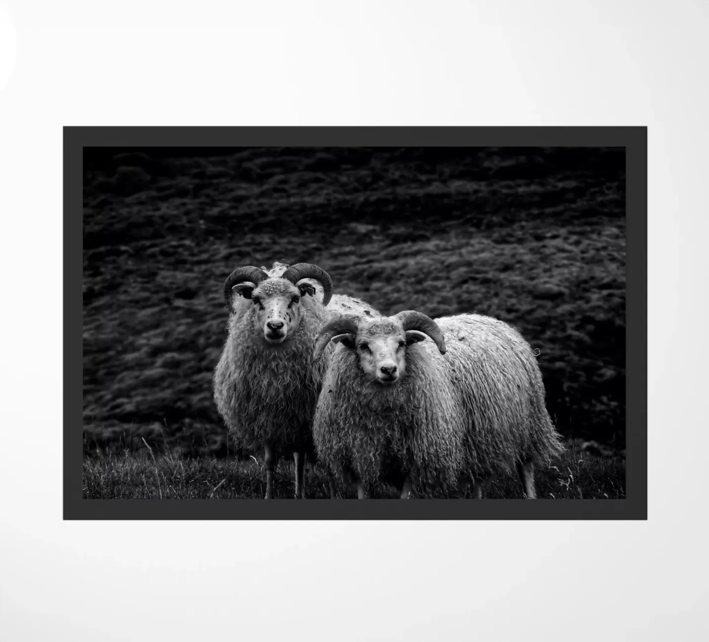 Two sheep deurmat van Fjöllart