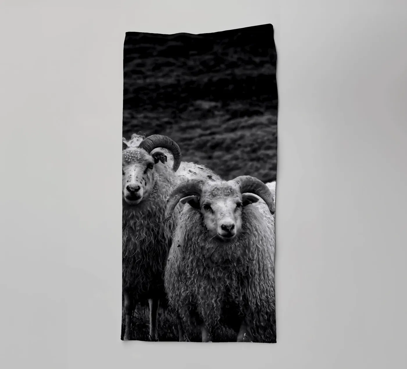 Two sheep towel by Fjöllart