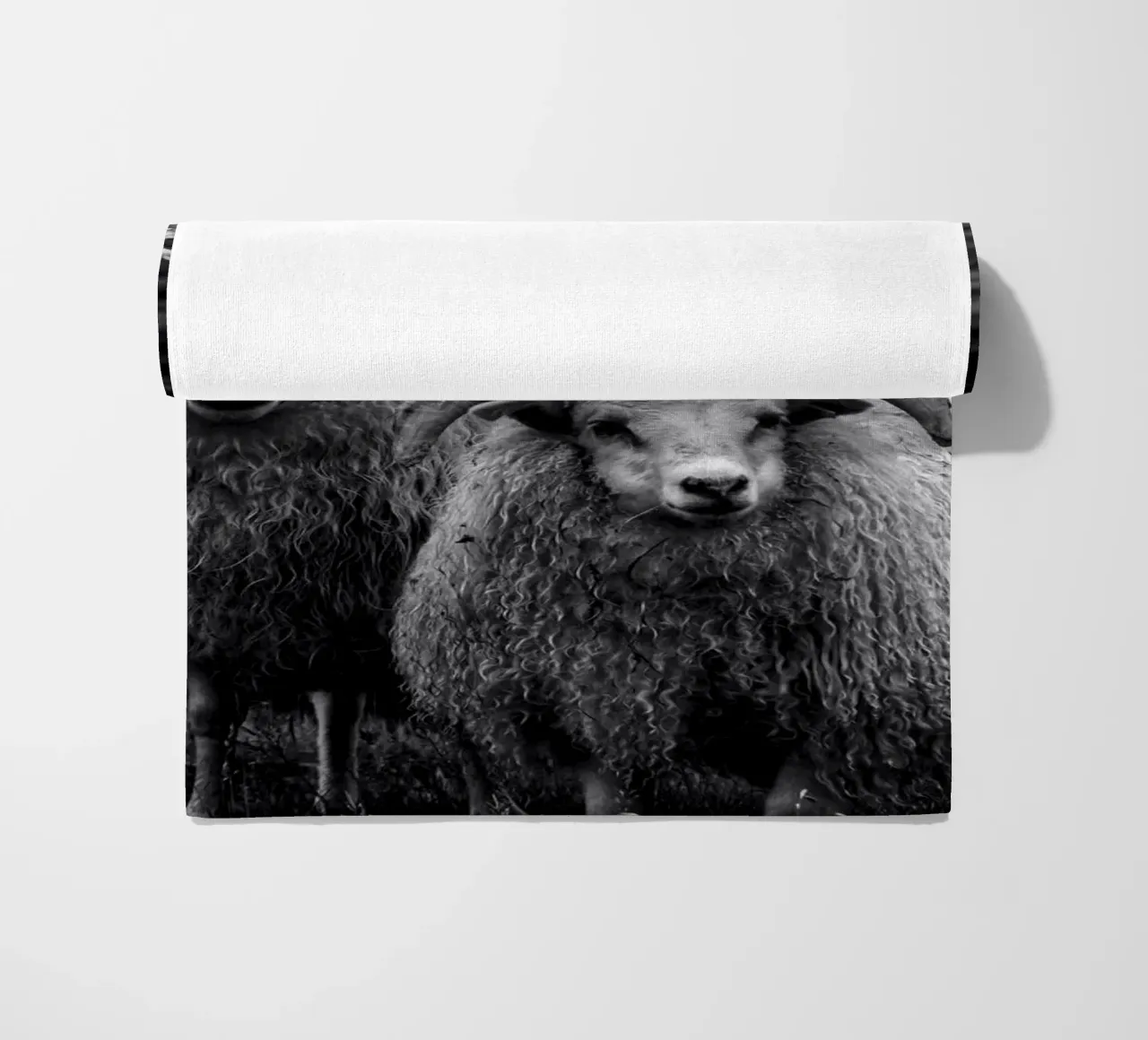 Two sheep telo mare da Fjöllart