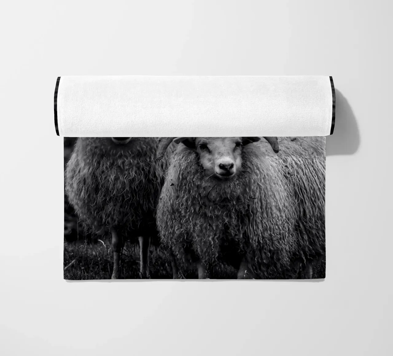 Two sheep telo mare da Fjöllart