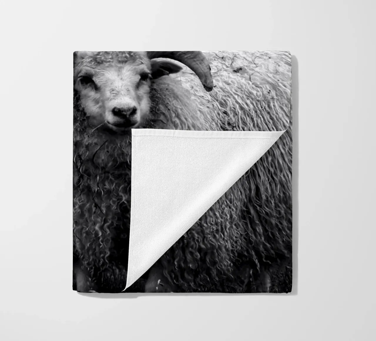 Two sheep telo mare da Fjöllart