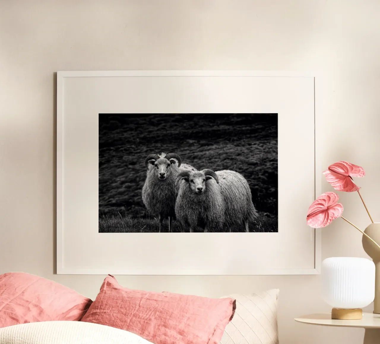 Due pecore poster da Fjöllart