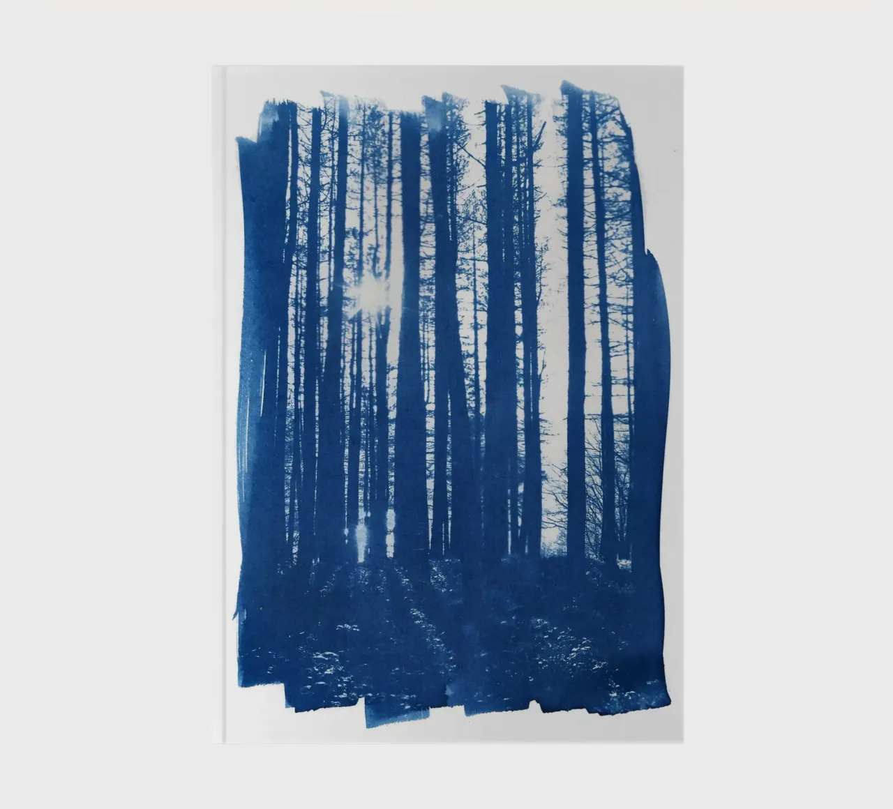 Sunlight in the Forest notebook by Kim Hubball Studio
