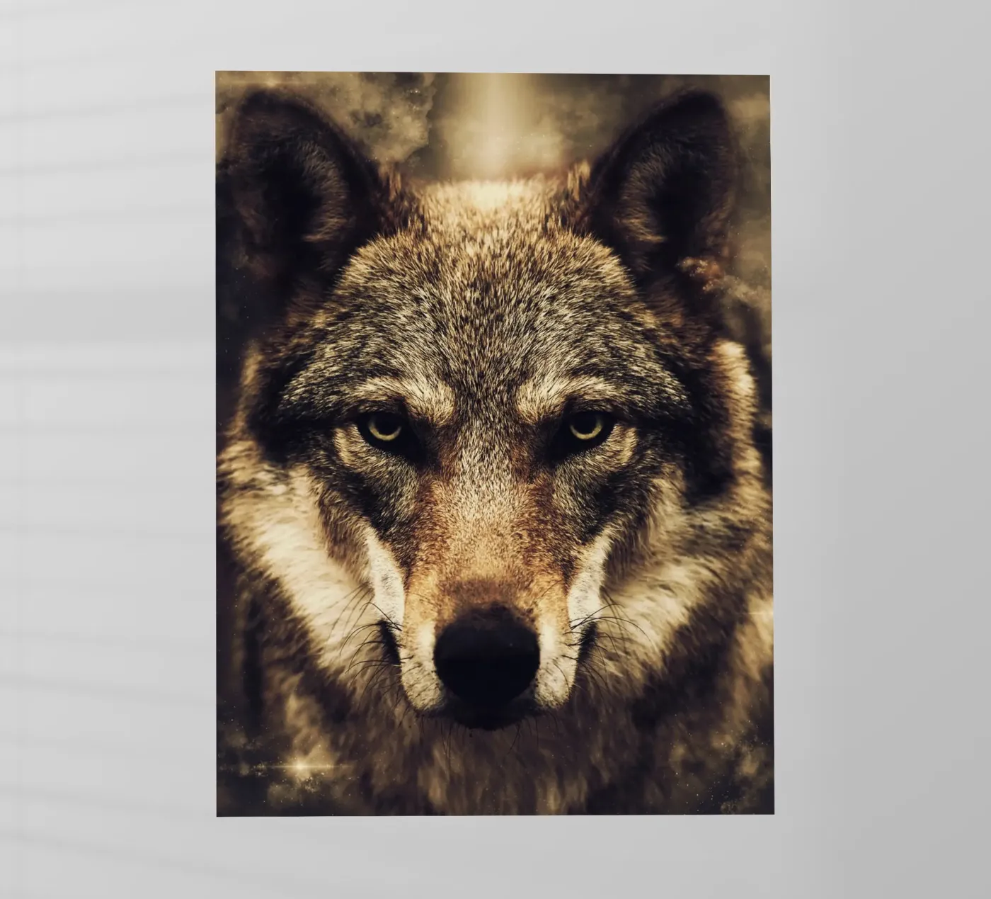 Wolf backlit folie van Mateo