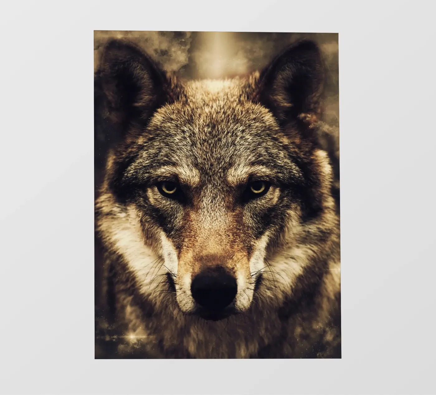 Wolf fotobehang van Mateo
