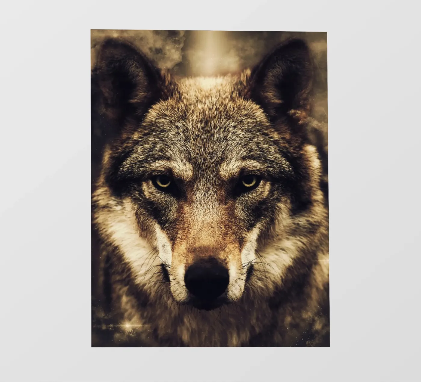 Wolf telo in pvc da Mateo
