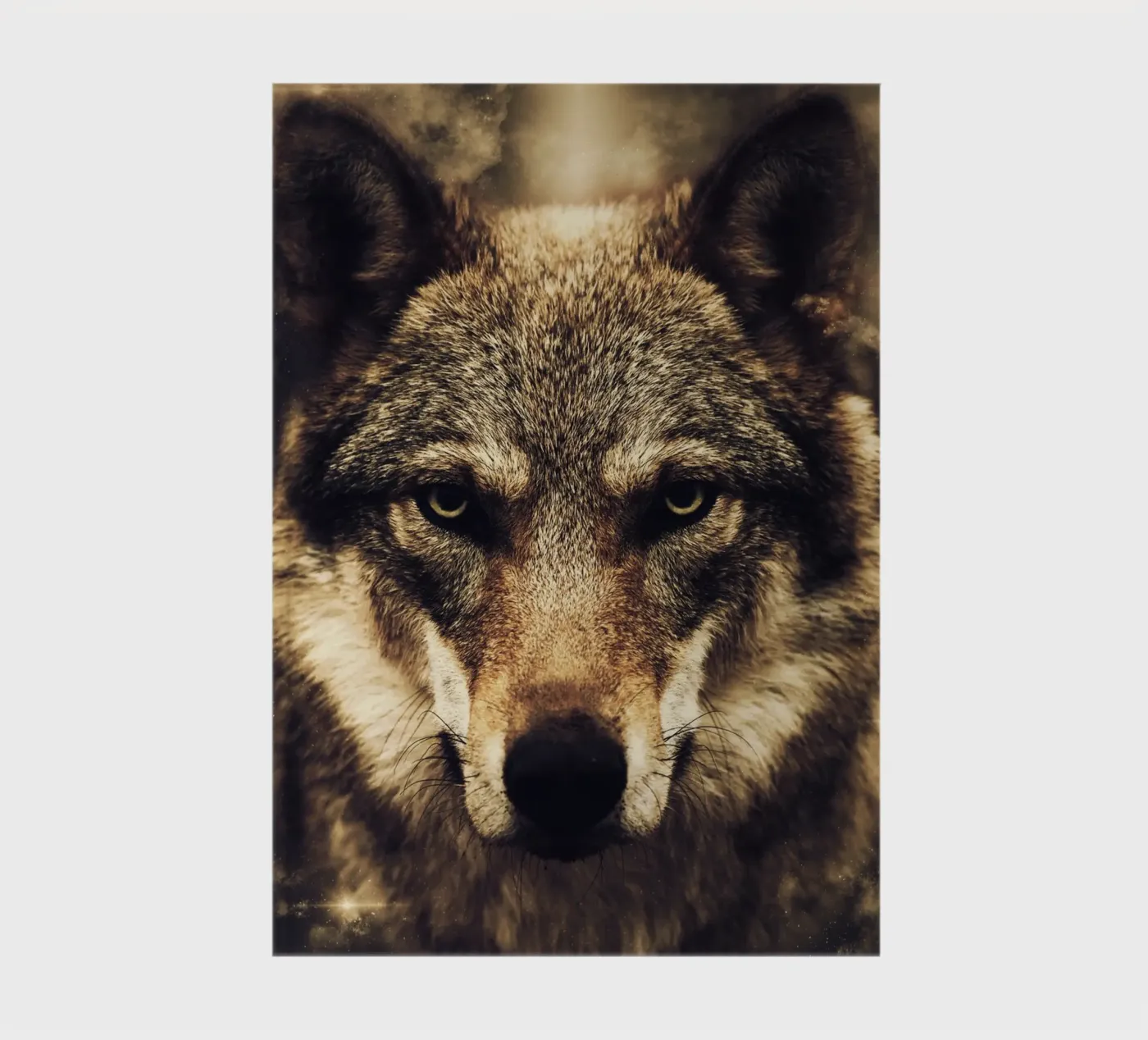 Wolf notebook by Mateo