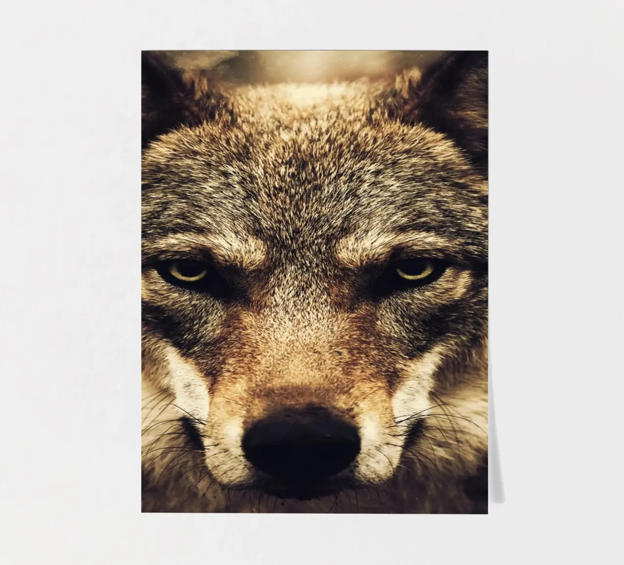 Wolf sticker sheet by Mateo