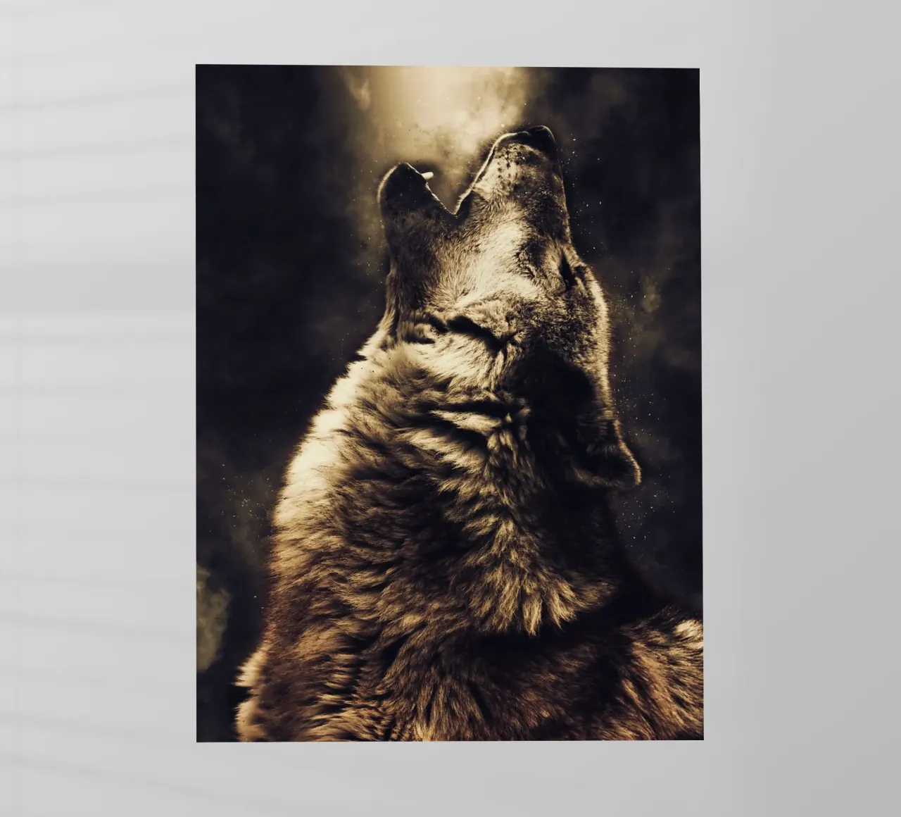 Wolf 2 pellicola backlit da Mateo