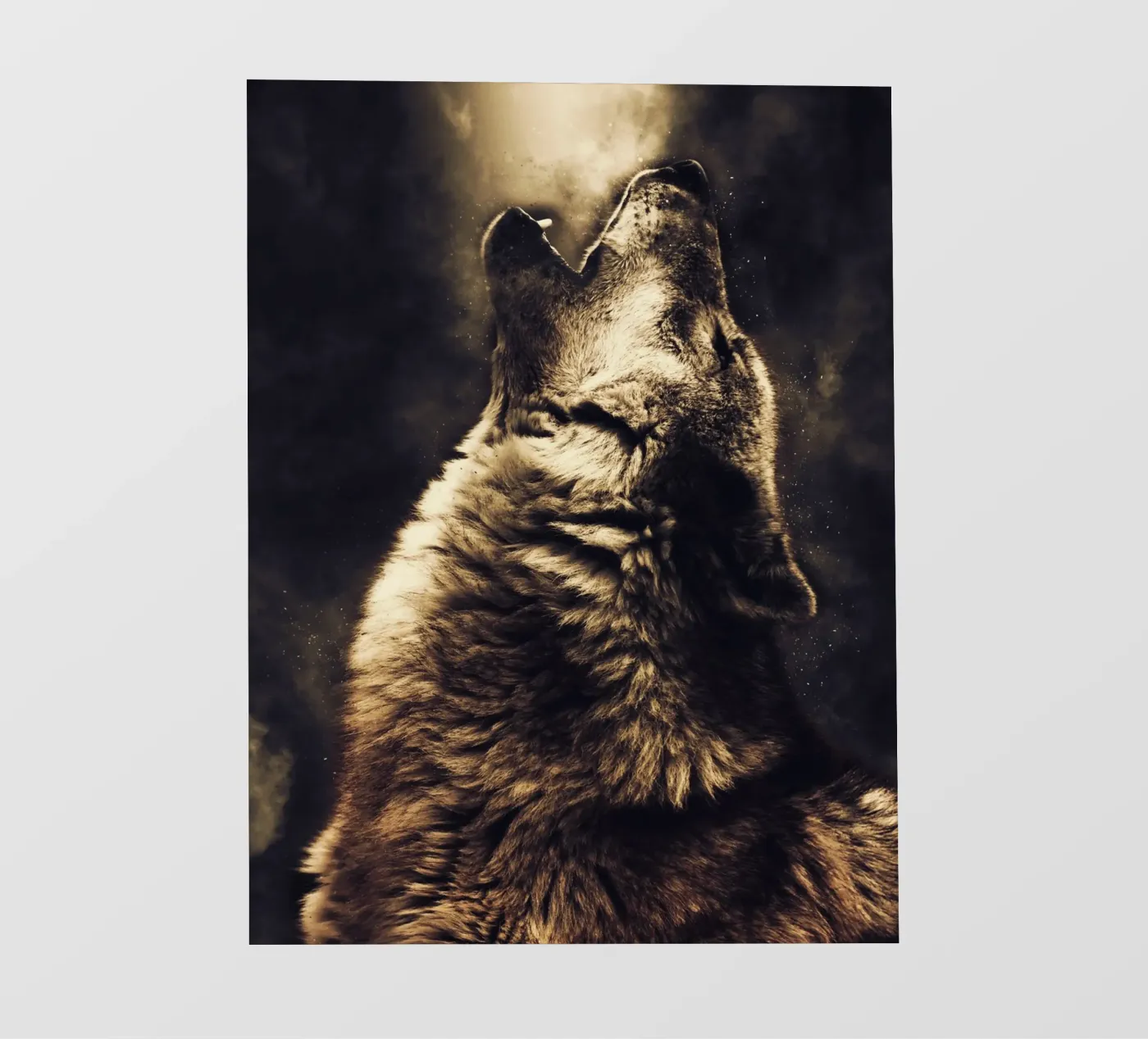 Wolf 2 fotobehang van Mateo