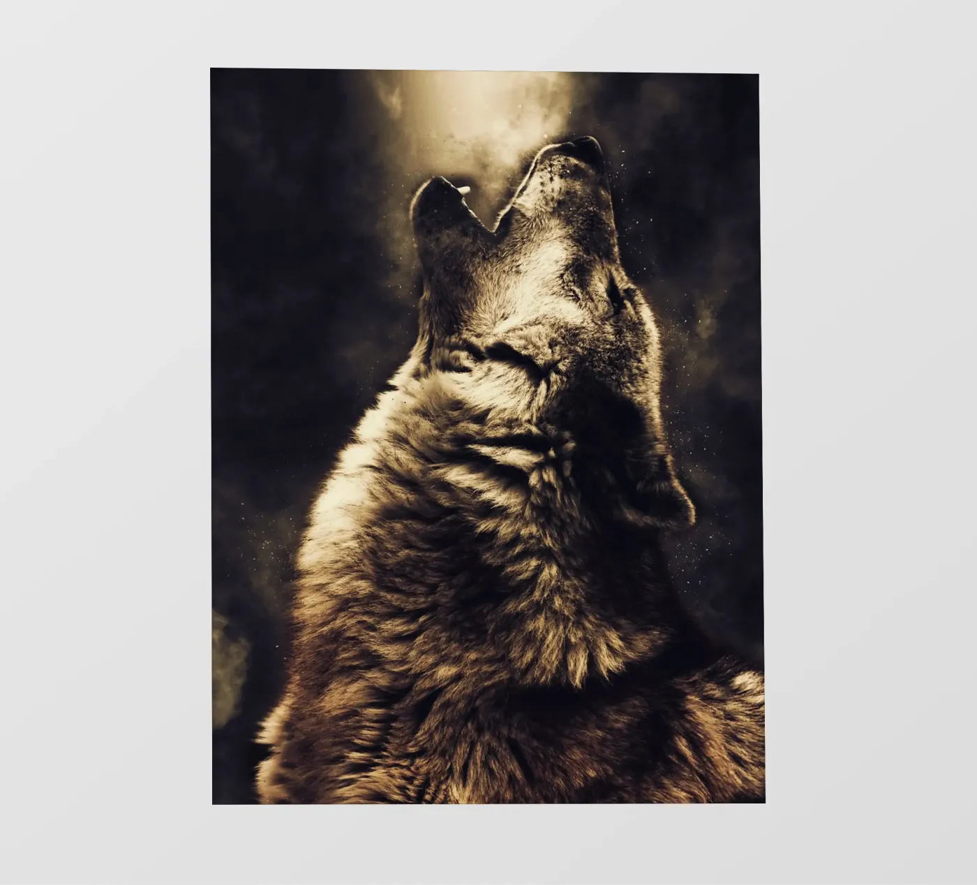 Wolf 2 fotobehang van Mateo