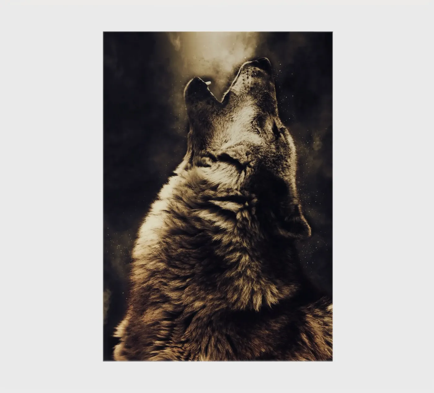 Wolf 2 notebook by Mateo