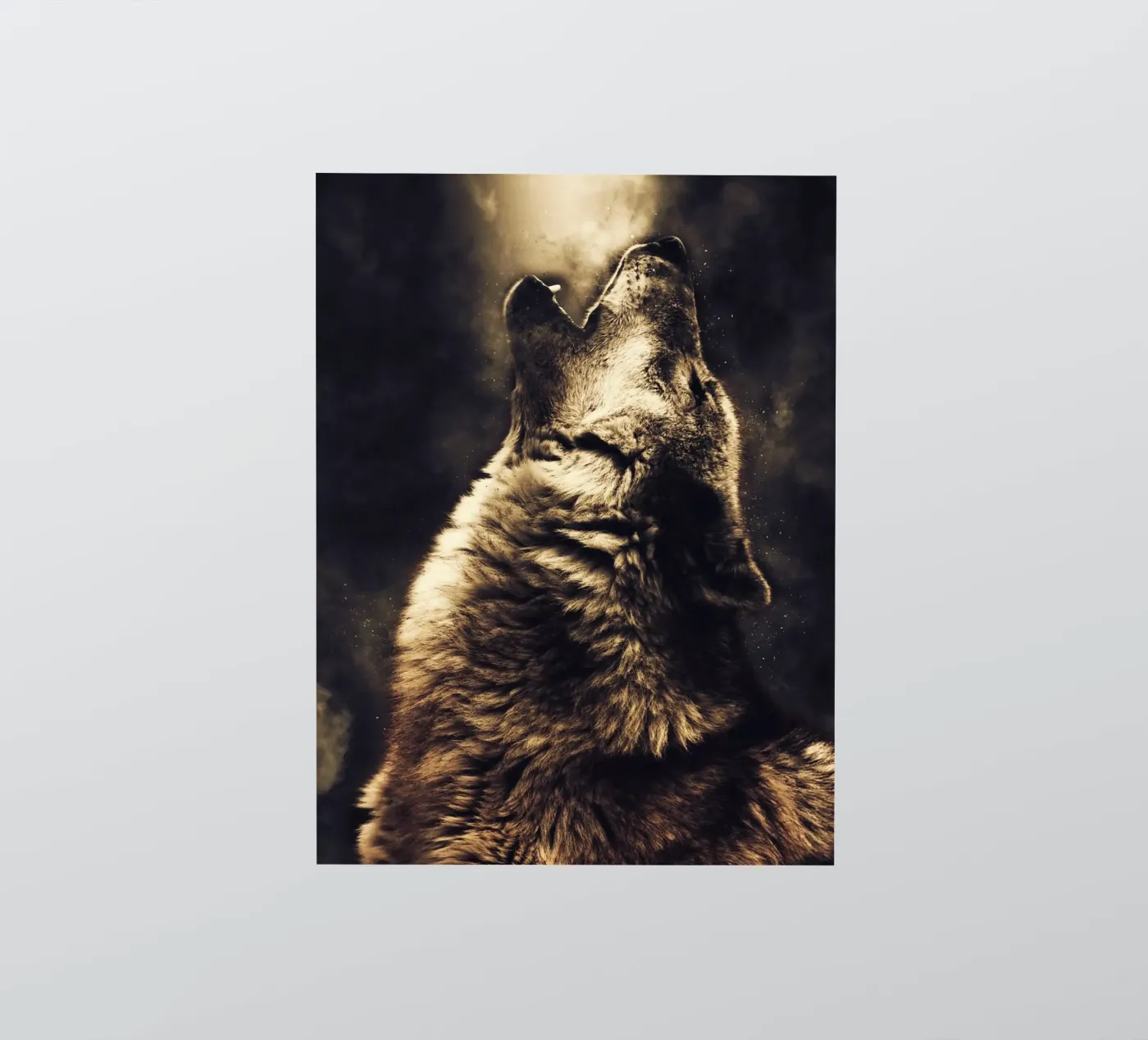 Wolf 2 sticker van Mateo