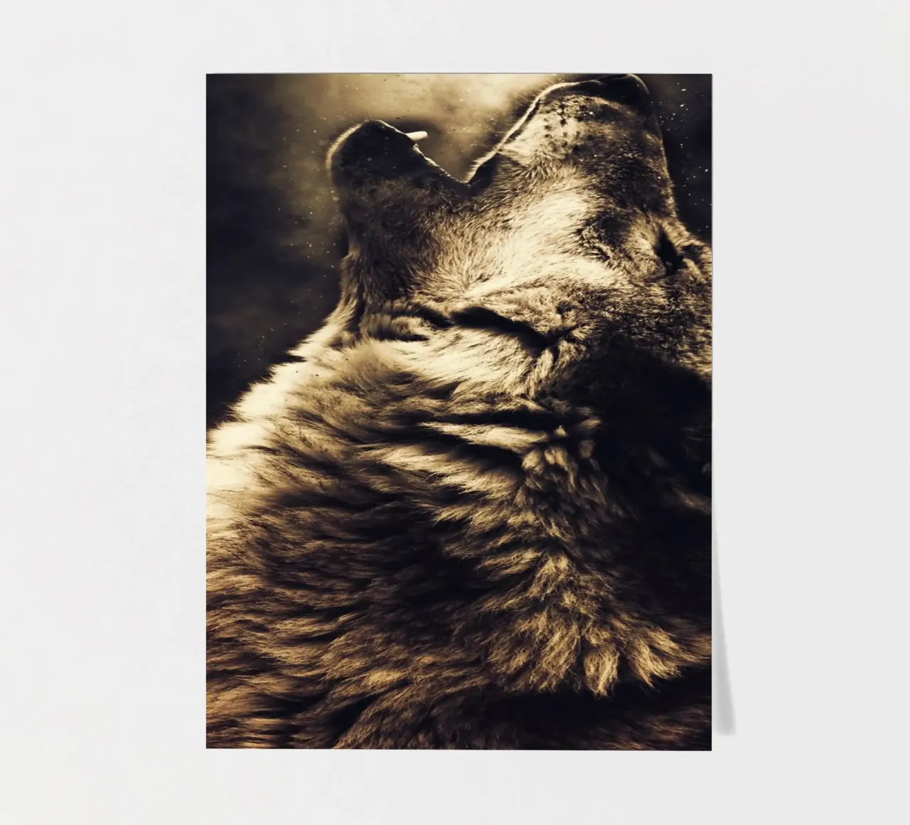 Wolf 2 sticker sheet by Mateo