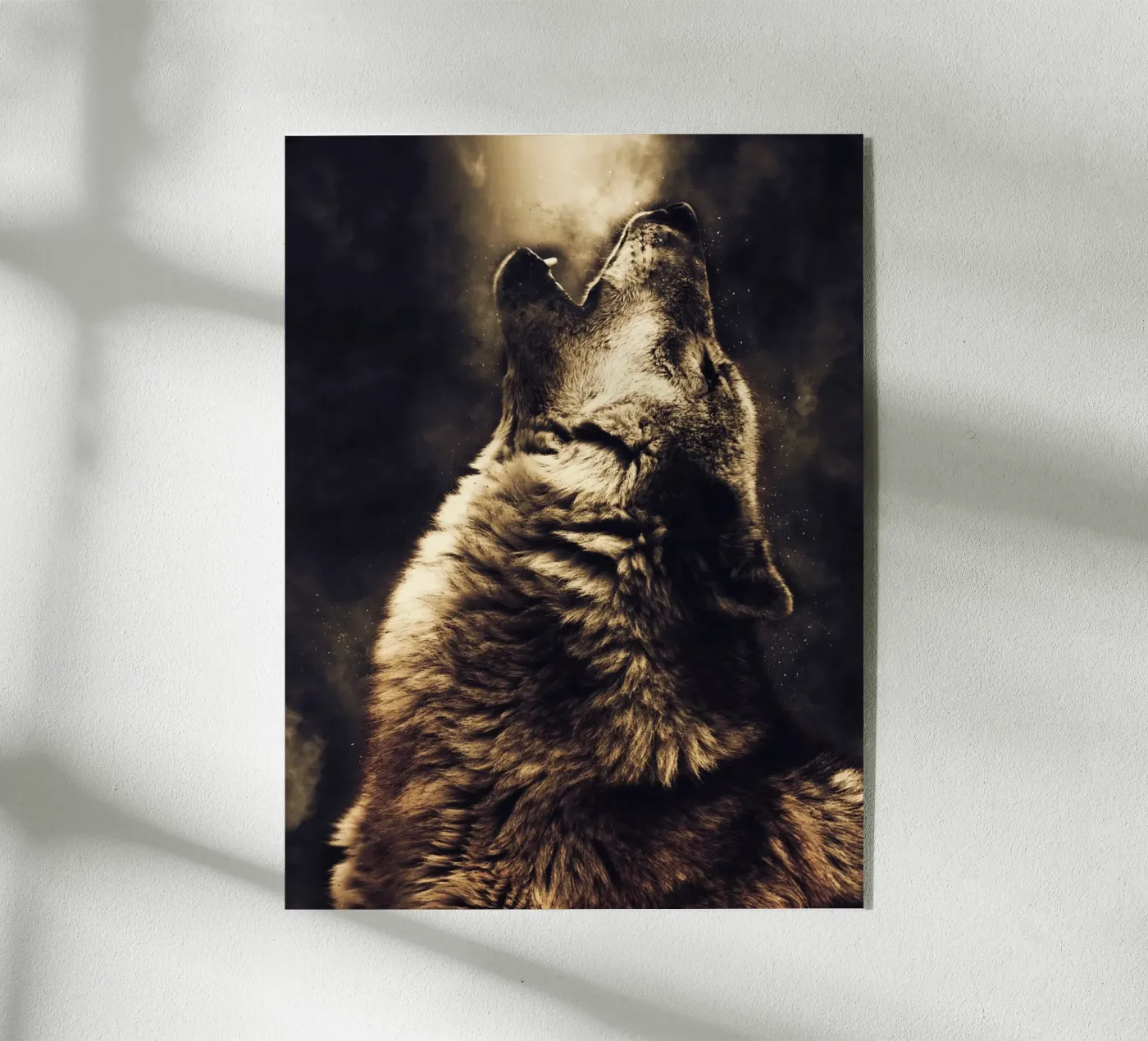 Wolf 2 plexiglass da Mateo